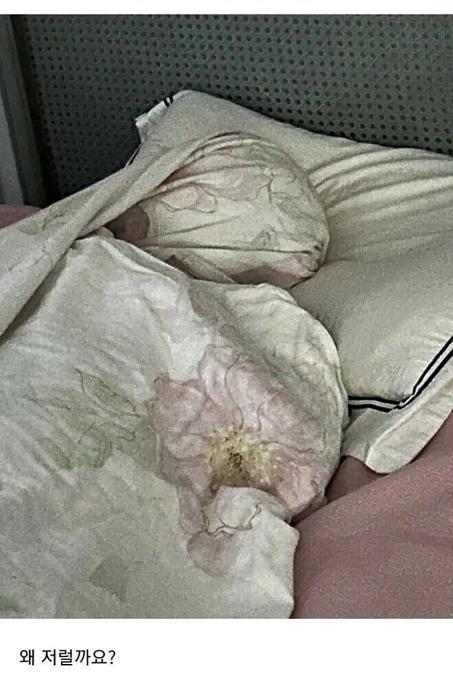 남편 자는 모습이 궁금한 아내 jpg._2.jpg