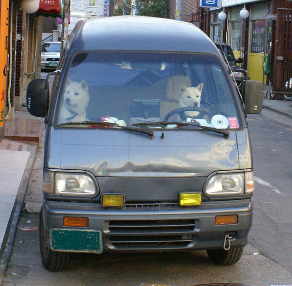 초보 응애운전 한달차_1.jpg