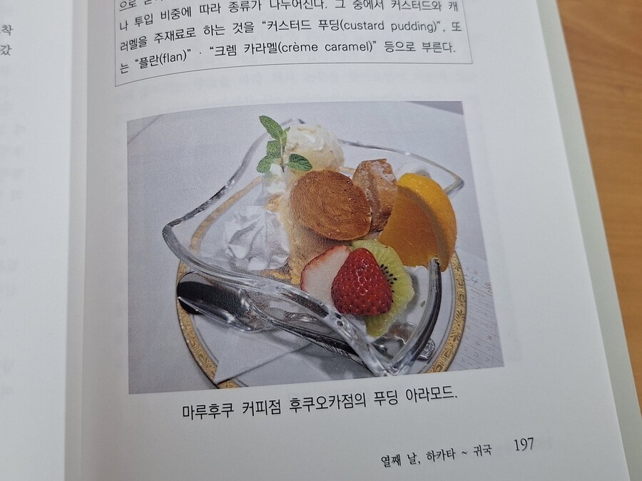 어느 푸딩 괴인의 책_11.jpg