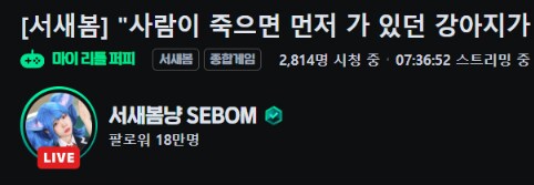 인방)서새봄도 마이리틀 퍼피 후폭풍을 씨게받앗네_2.png