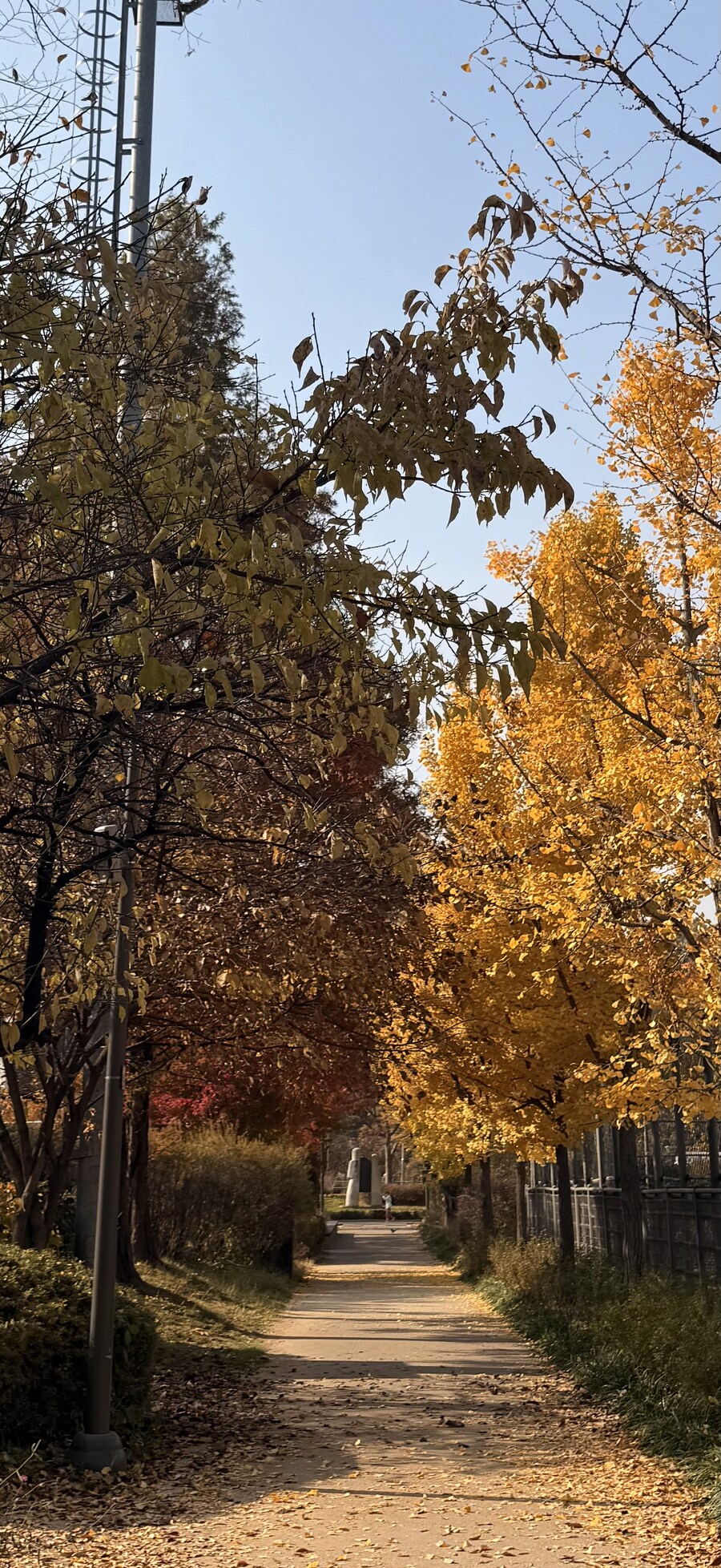 루리웹발 간짜장집_8.jpg