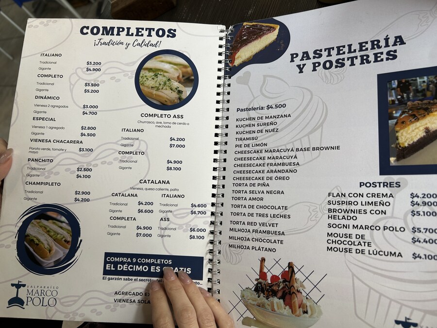 칠레 처갓집 방문기 (4) 10-12일차 : 발파라이소 / 비냐 델 말_5.jpg