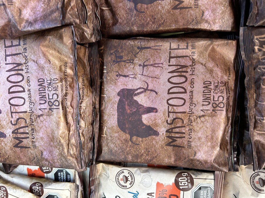 칠레 처갓집 방문기 (4) 10-12일차 : 발파라이소 / 비냐 델 말_27.jpg