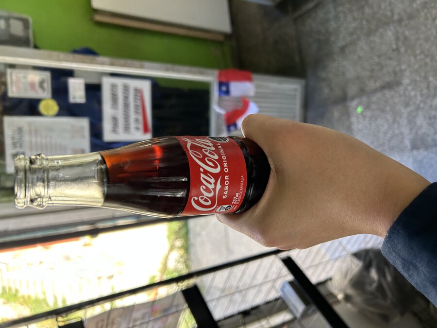 칠레 처갓집 방문기 (4) 10-12일차 : 발파라이소 / 비냐 델 말_51.jpg