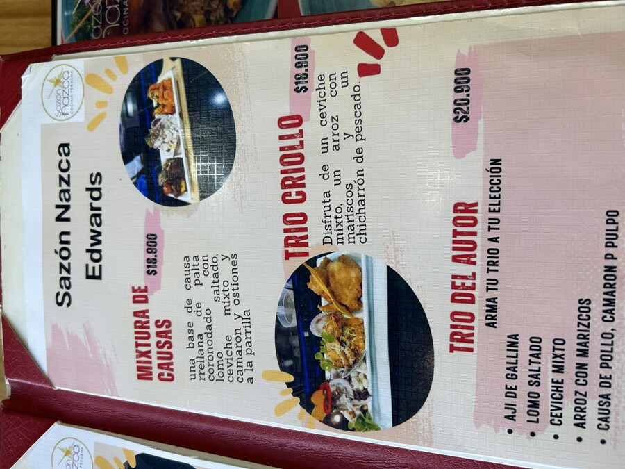 칠레 처갓집 방문기 (4) 10-12일차 : 발파라이소 / 비냐 델 말_77.jpg