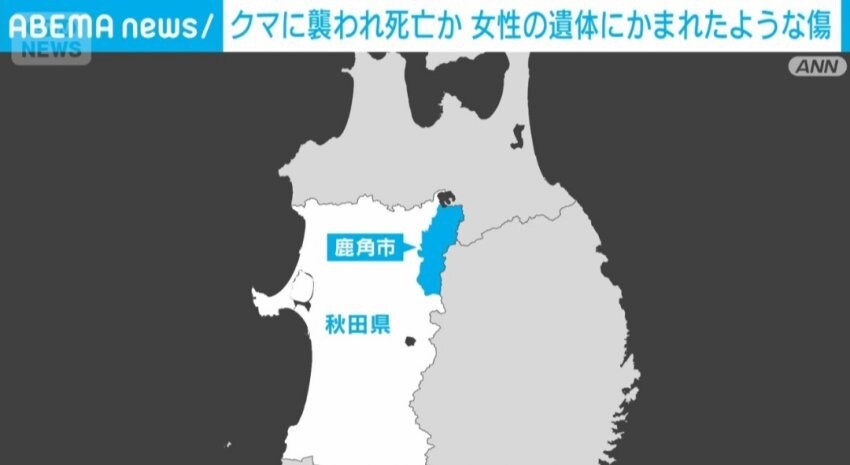 곰 때문에 지옥도가 펼쳐진 일본 근황_1.jpg