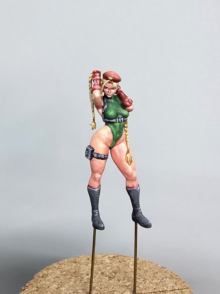 [도색완성] 1:64 스트리트파이터 캐미, 춘리_1.jpg