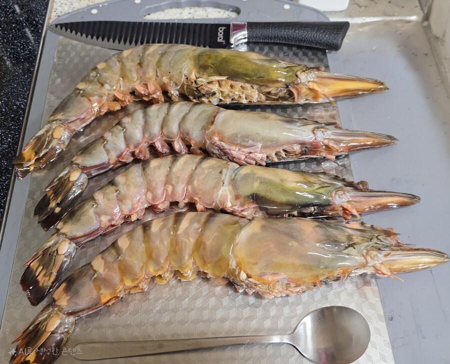 13주년 기념 새우 풀파티 [앙킹타이거]_5.jpg