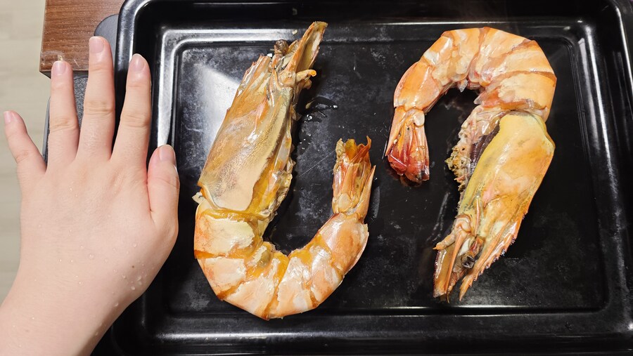 13주년 기념 새우 풀파티 [앙킹타이거]_7.jpg