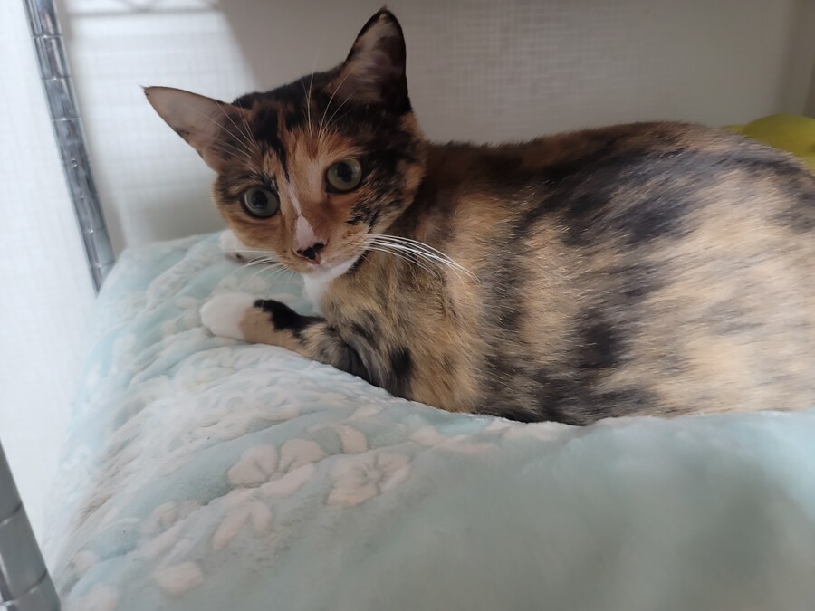 새벽밤 쿠팡배달 하다가 얼어죽을뻔함...;;_6.jpg