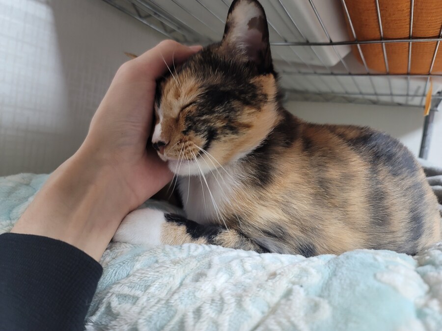 새벽밤 쿠팡배달 하다가 얼어죽을뻔함...;;_7.jpg