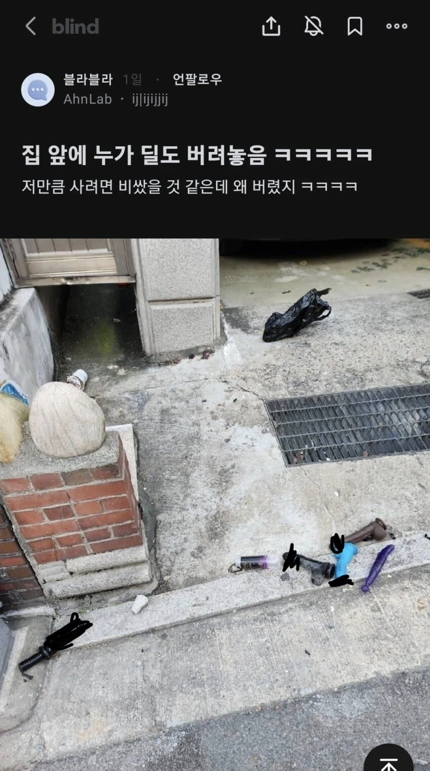 딜도의 정체를 아는 블라인_1.webp