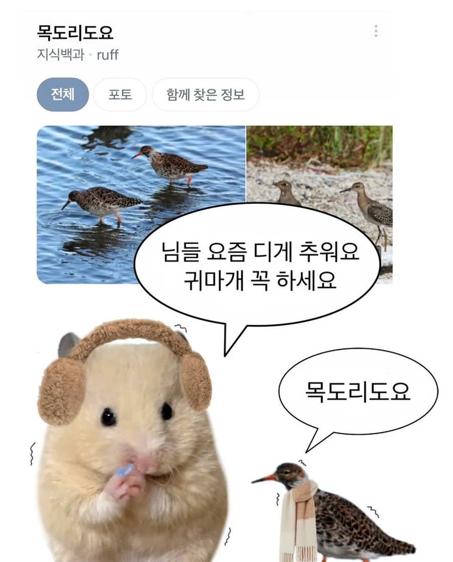 요즘 디게 추워요 귀마개 꼭 하세요_1.webp