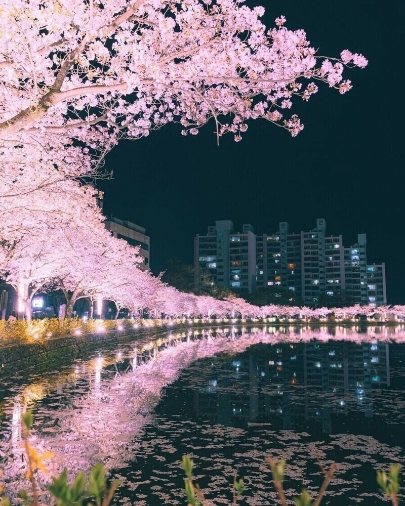 레딧에 올라온 한국 풍경.jpg_21.jpg