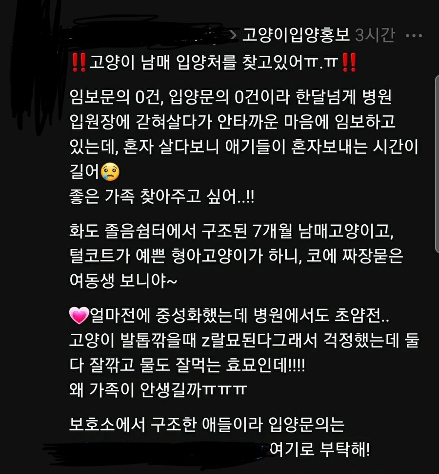 ???: 왜 우리 고양이는 입양을 가지 못할까??_1.jpg