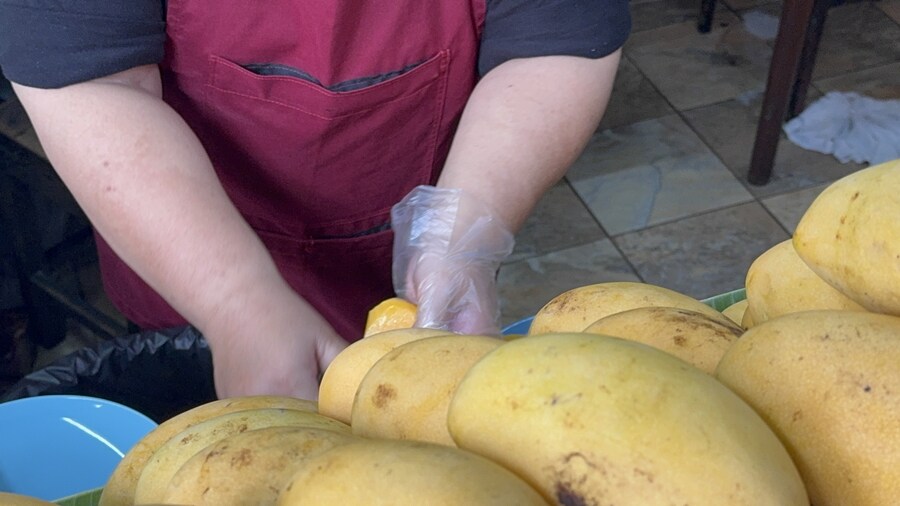 망고밥 좋아하시나요?_4.jpg