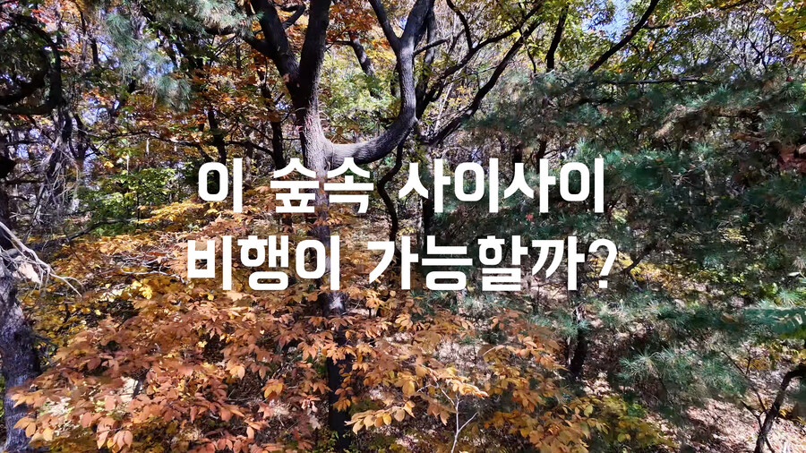 그 누구도 해보지 않았을 도심 숲속 dji NEO2 극한테스트 비행 리뷰_8.jpg