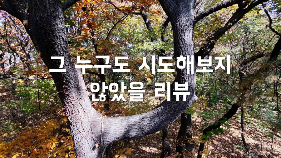 그 누구도 해보지 않았을 도심 숲속 dji NEO2 극한테스트 비행 리뷰_9.jpg