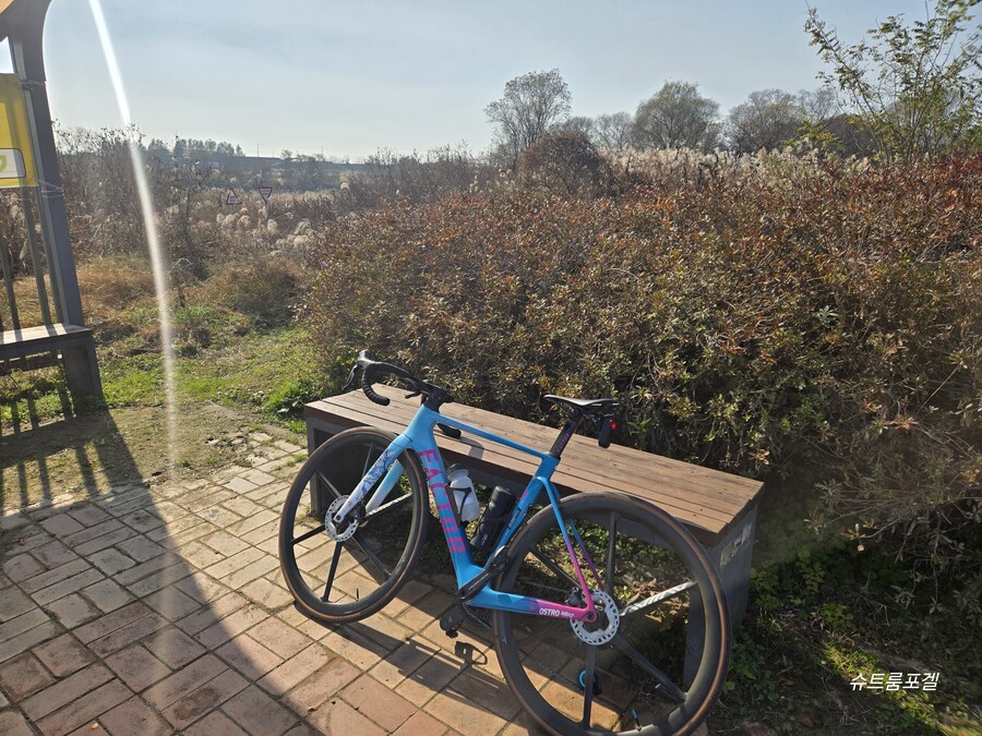 본격적인 겨울이군요_1.jpg