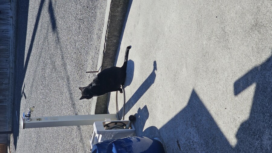 만성소화불량자의 8박9일 히로시마 여행 6,7일차 (쿠레, 미타라이)_68.jpg