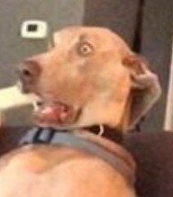 [미사일을 위하여 만들어본 항공기] 1/48 F15K with Taurus._2.jpg