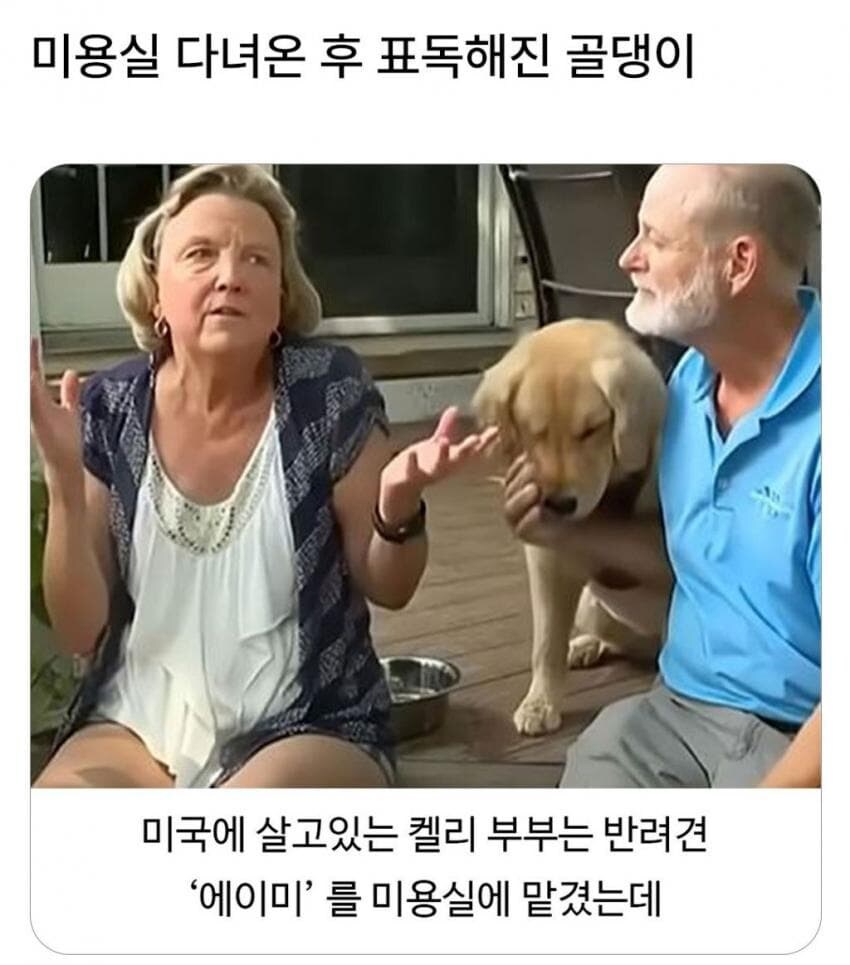 골댕이가 얼마나 착한지 알 수 있는 일_1.jpg