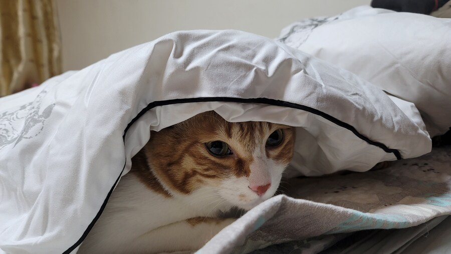 나 사실 추워쪙_1.jpg