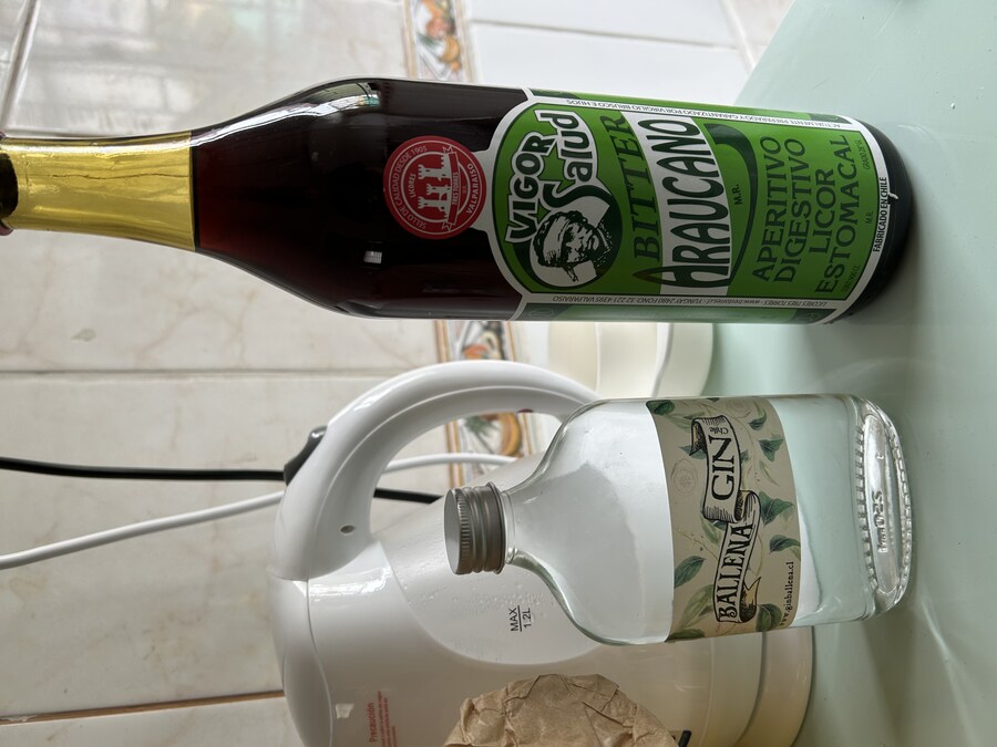 칠레 처갓집 방문기 (6) 15-17일차 : 발파라이소 / 산티아고_10.jpg