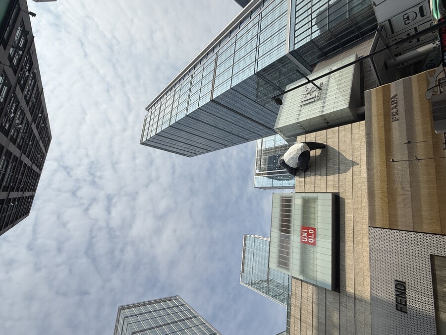 중국 청두 미슐랭 마파두부_19.jpg