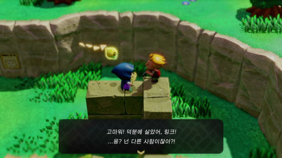 젤다의 전설 지혜의 투영_20.png