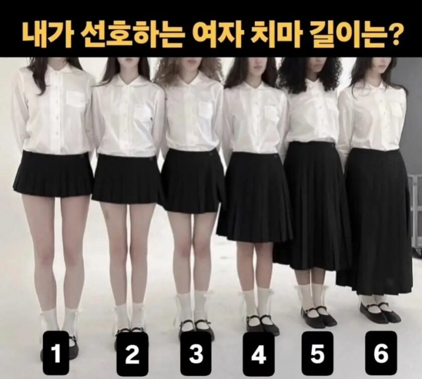 내가 선호하는 여자 치마 길이는?_1.jpg