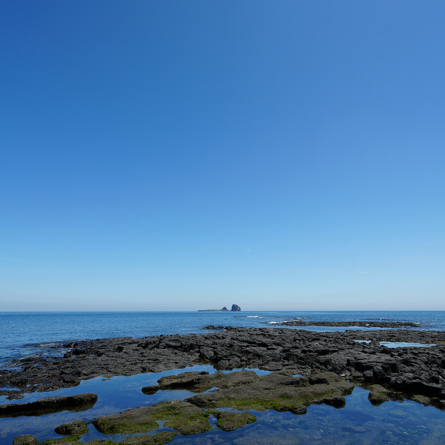 2025년 제주의 풍경들_4.jpg