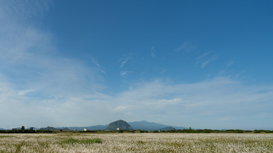 2025년 제주의 풍경들_5.jpg