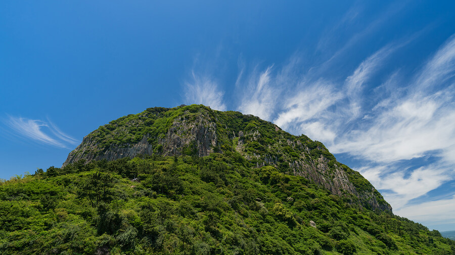 2025년 제주의 풍경들_3.jpg