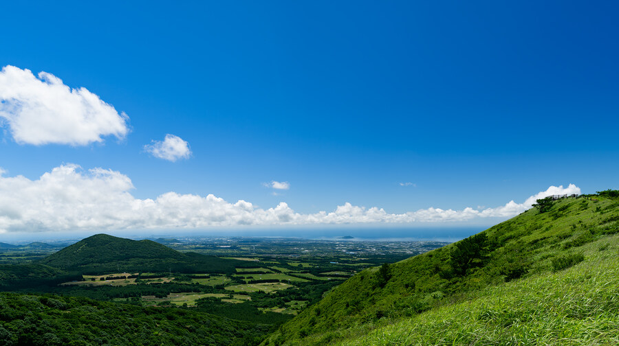 2025년 제주의 풍경들_8.jpg