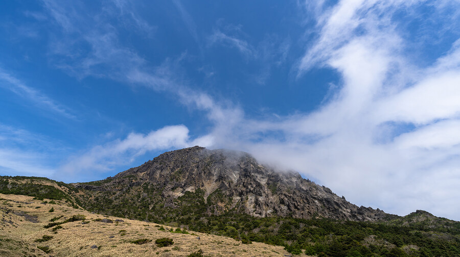 2025년 제주의 풍경들_12.jpg