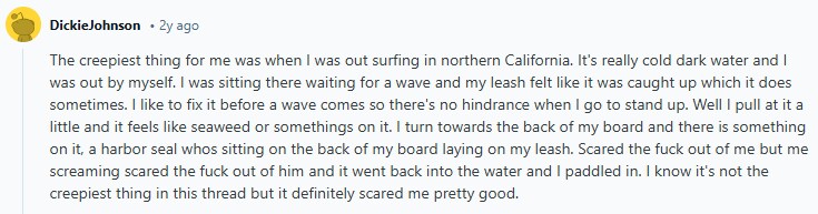 애스크레딧)대낮에 본 것 중 가장 소름 끼치는 건 뭐였어?(1/5)_5.png