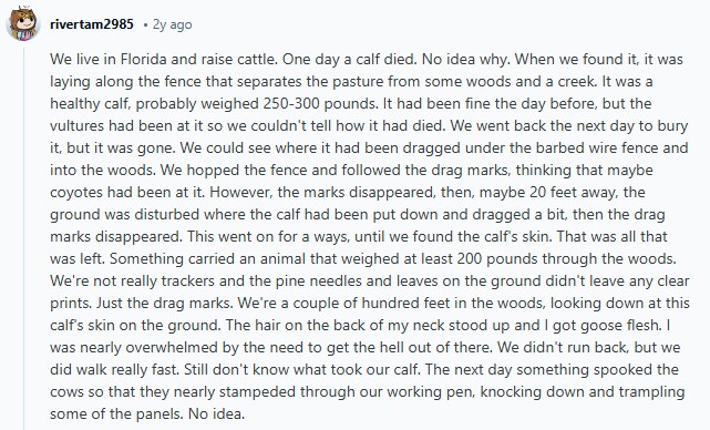 애스크레딧)대낮에 본 것 중 가장 소름 끼치는 건 뭐였어?(3/5)_5.png