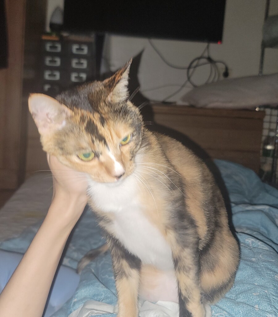 안녕하세요 좋은아침이에요 유게이 일어났어요_1.jpg