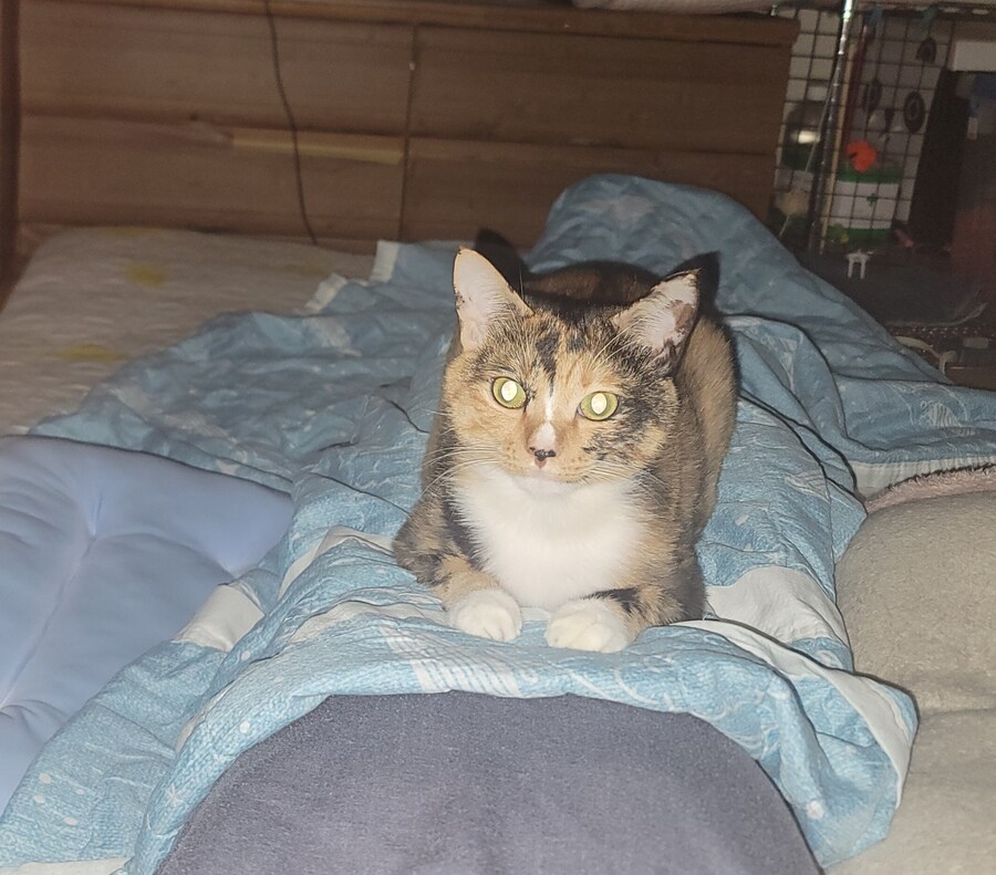 안녕하세요 좋은아침이에요 유게이 일어났어요_2.jpg