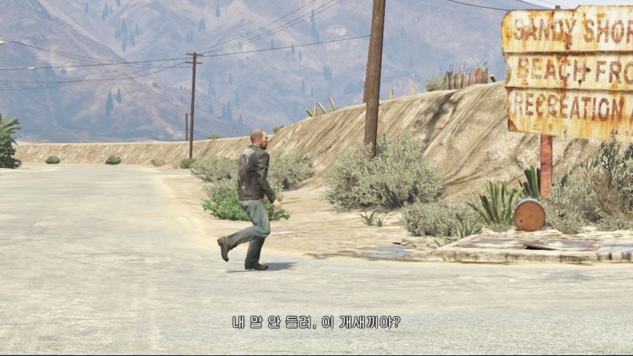 GTA 5_1.jpg