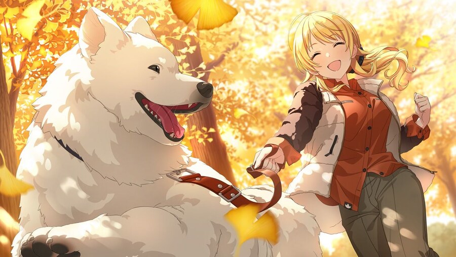 [샤니마스]저번주, 이번주 추가된 카드+SSR 연출_1.jpg