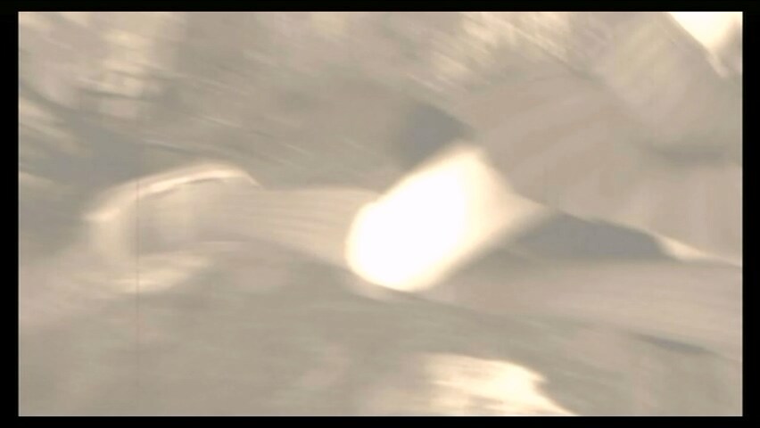 제로 ~ 진홍의 나비(Wii)_40.jpg