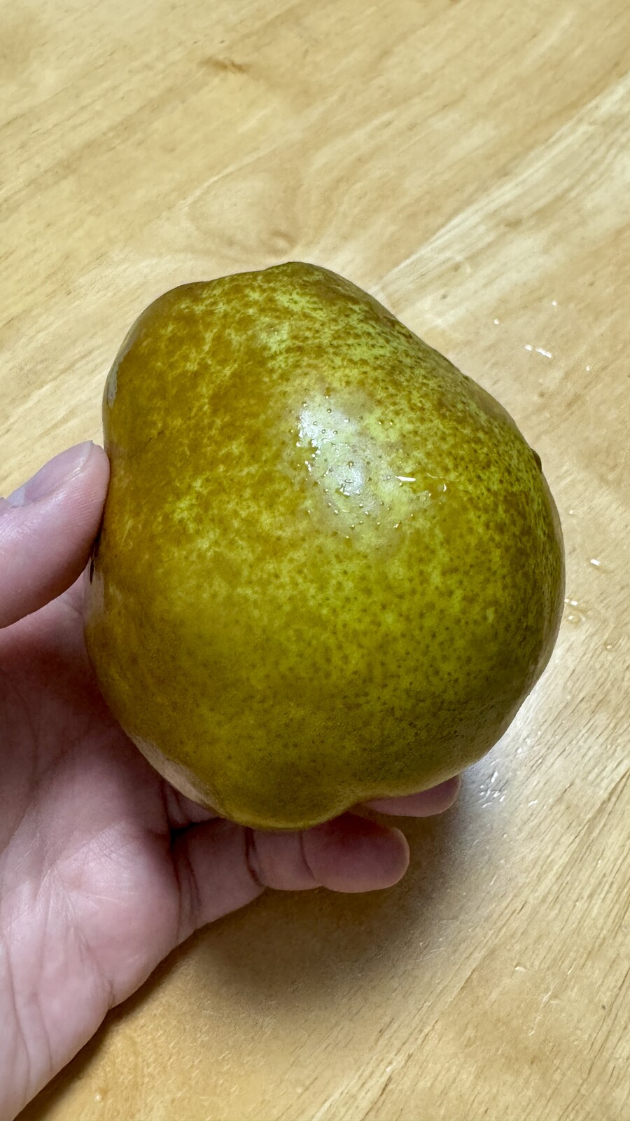 도쿄 일주일 덕질 투어 6일차_1.jpg