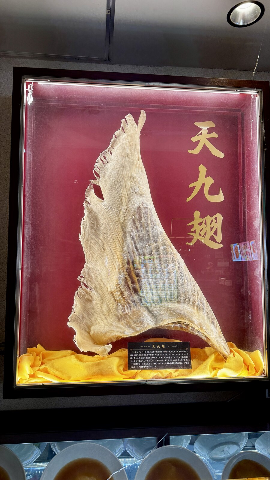 도쿄 일주일 덕질 투어 6일차_32.jpg