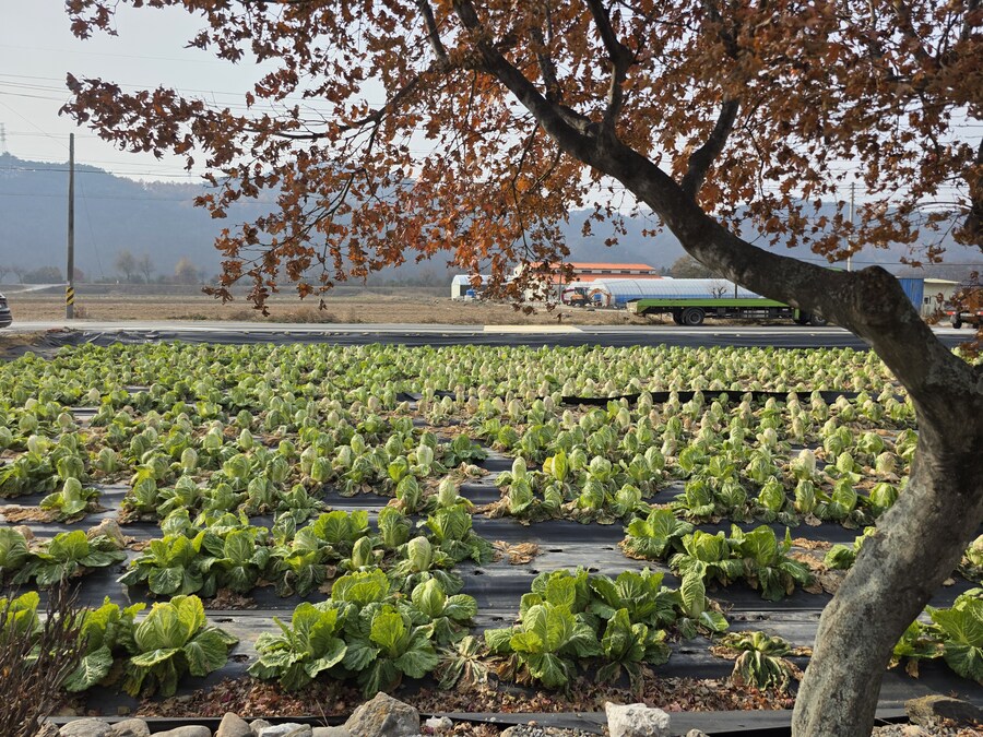 주천 초원가든 생선구이_1.jpg