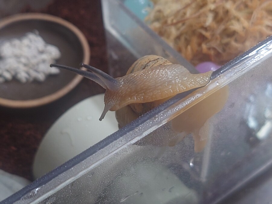 아무도 안궁금할 달팽이집_4.jpg