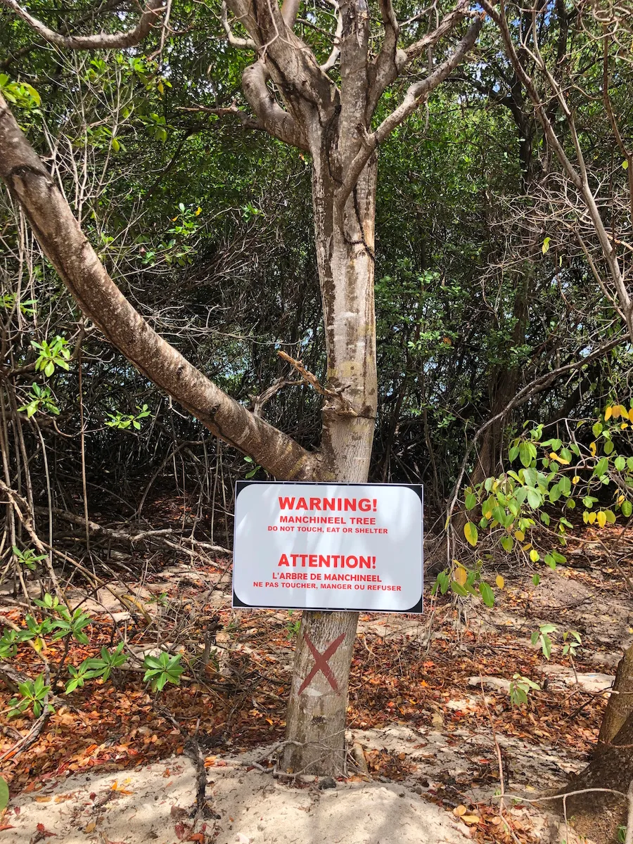 자연: 이정도면 ㅈ간놈들 안먹겠지..어어 ㅅㅂ 죽는다고!!!_3.webp