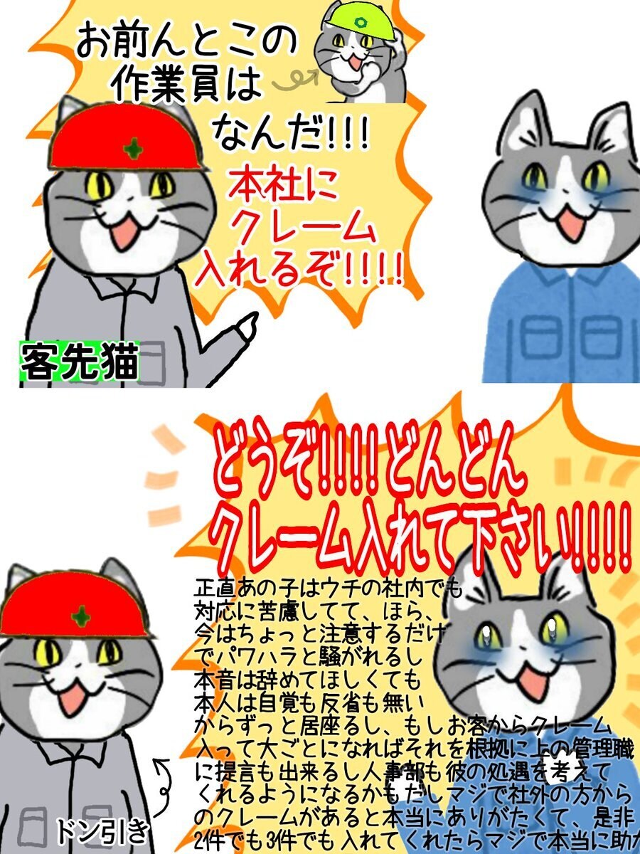 충격적인 일본 좃소냥이 (현장냥이) 근황_1.jpg