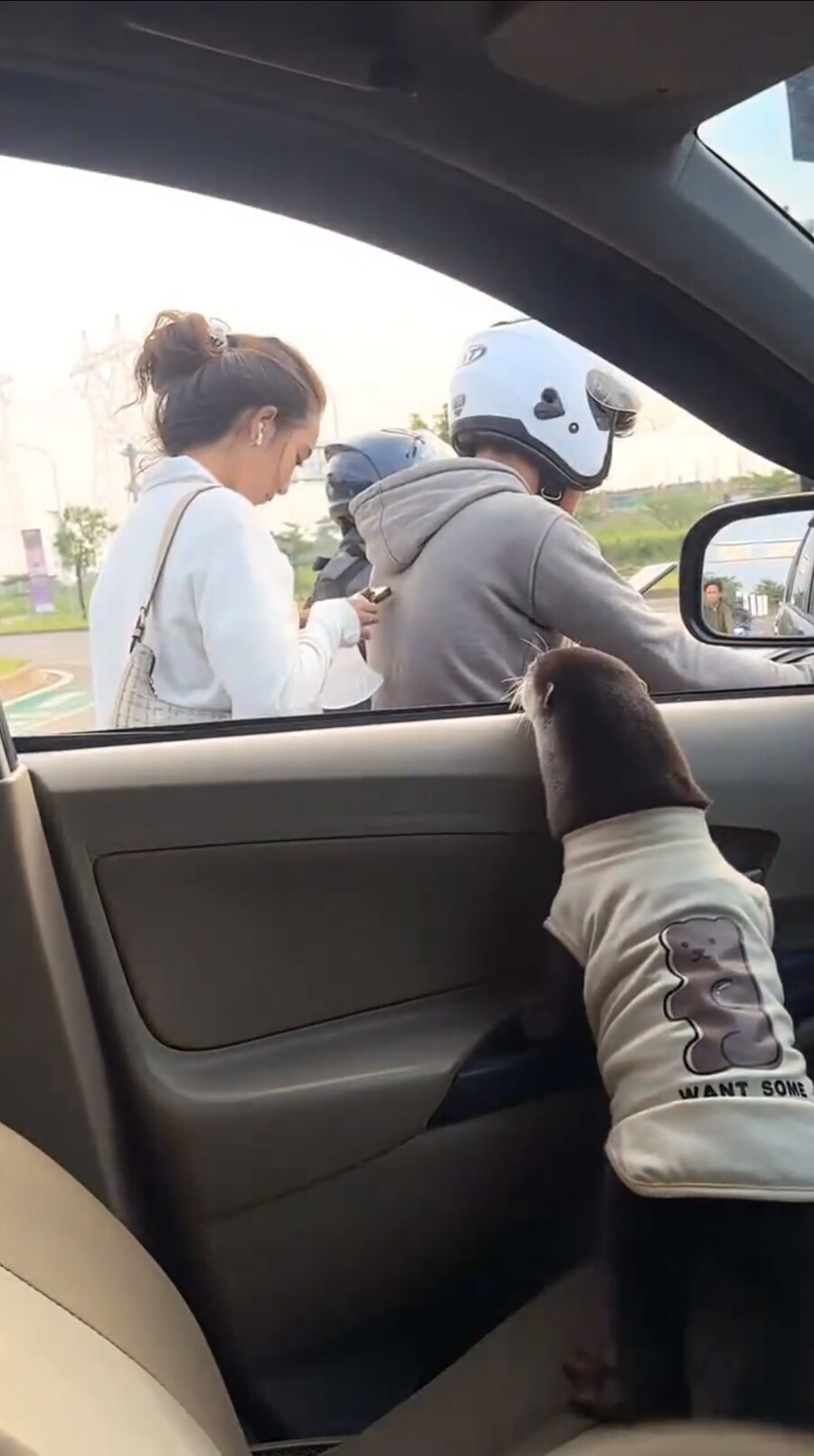 도로에서 스마트폰을 하면 안되는 이유.JPG_1.png